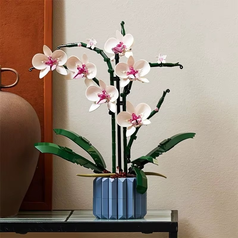 PRE VENTA Orquídeas + mini suculenta
