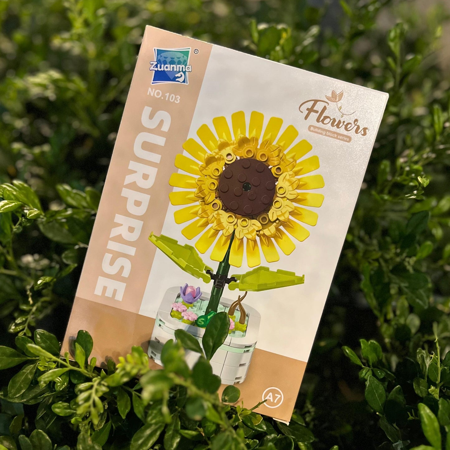 Girasol en maceta armable