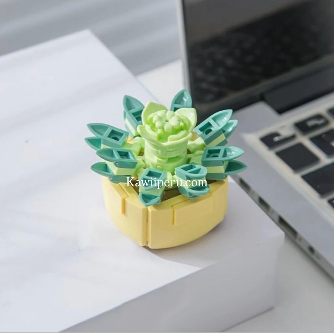 Mini suculenta armable