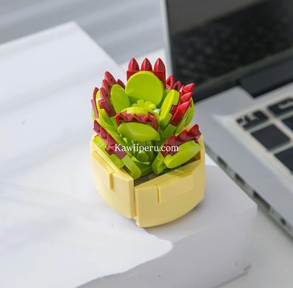 Mini suculenta armable