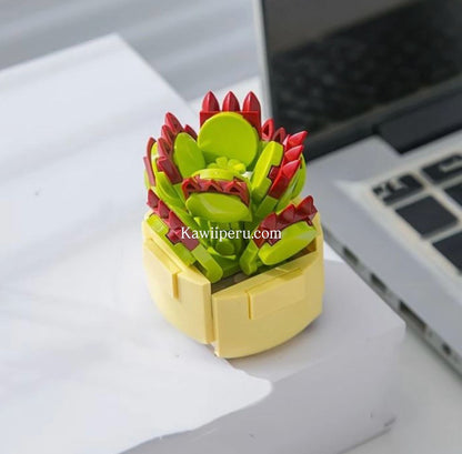 Mini suculenta armable